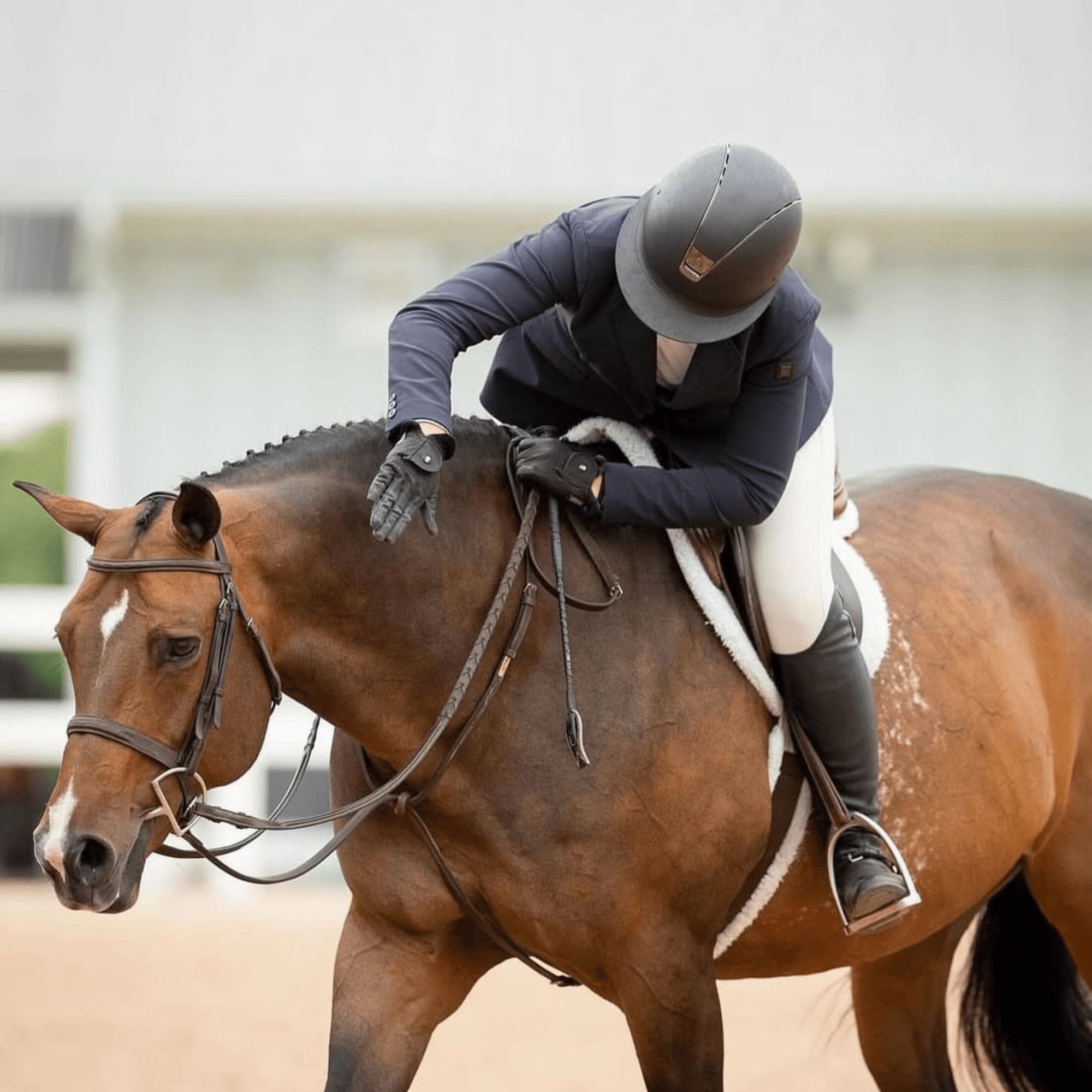 Horse & Rider Matching